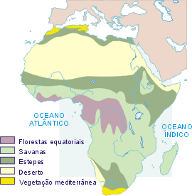 Mapa - África - Vegetação