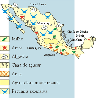América Latina - Agropecuária