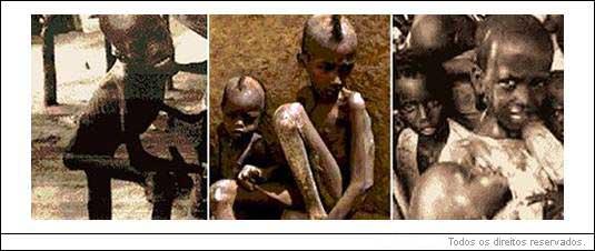 A fome: o maior problema mundial