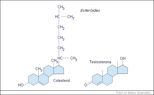Química e biossíntese da testosterona