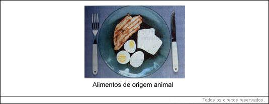 alimentos de origem animal