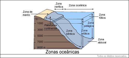 zonas oceânicas