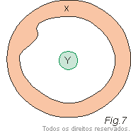 condutor neutro Y situado no interior de um condutor oco X.