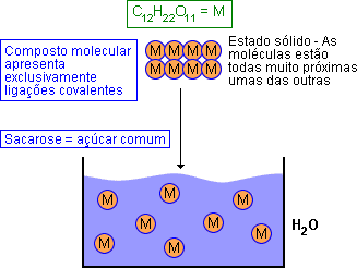 COMPOSTO MOLECULAR