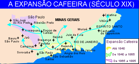 A produção cafeeira